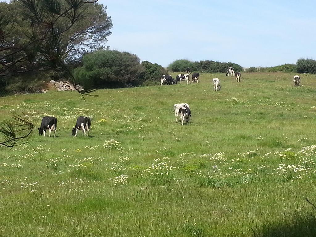Binicalsitx Casa Rural Ferreries Eksteriør bilde